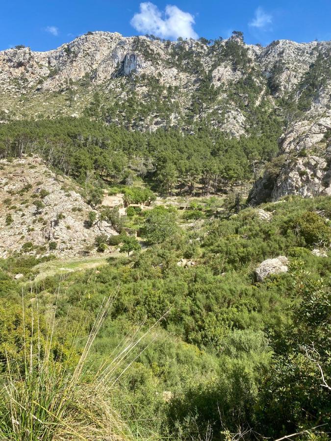 Finca Ses Fontanelles Andraitx Buitenkant foto