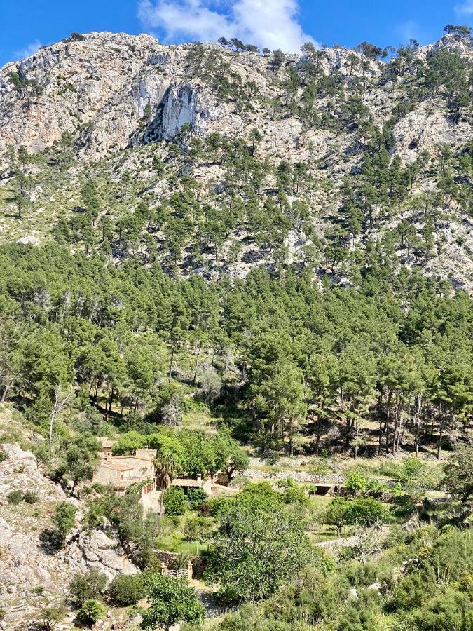 Finca Ses Fontanelles Andraitx Buitenkant foto
