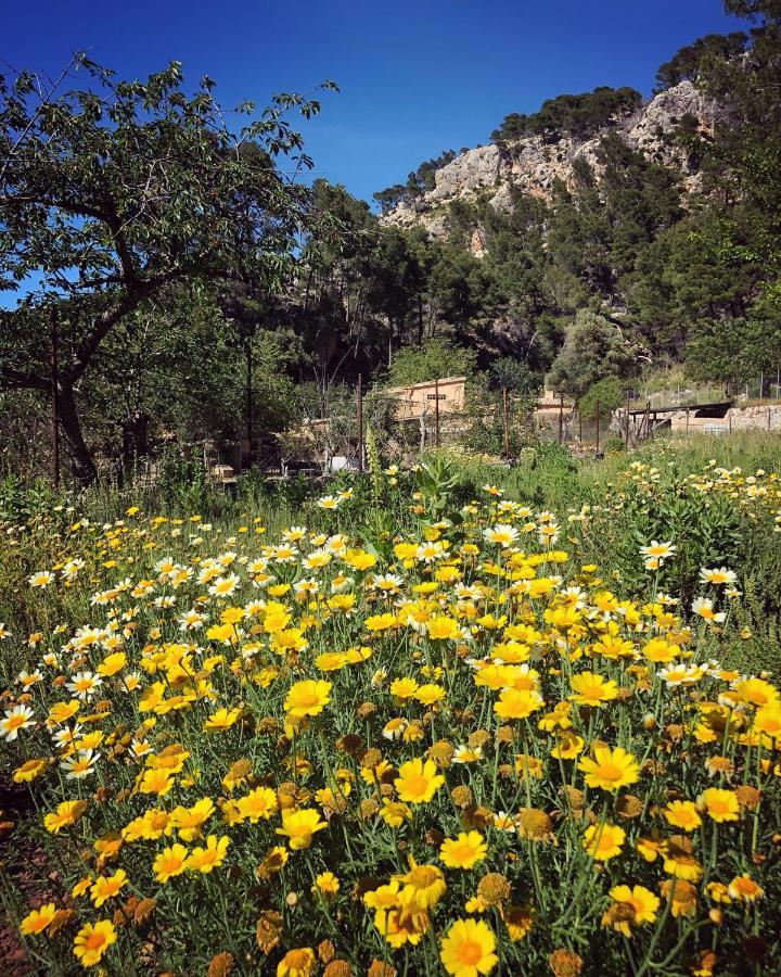 Finca Ses Fontanelles Andraitx Buitenkant foto