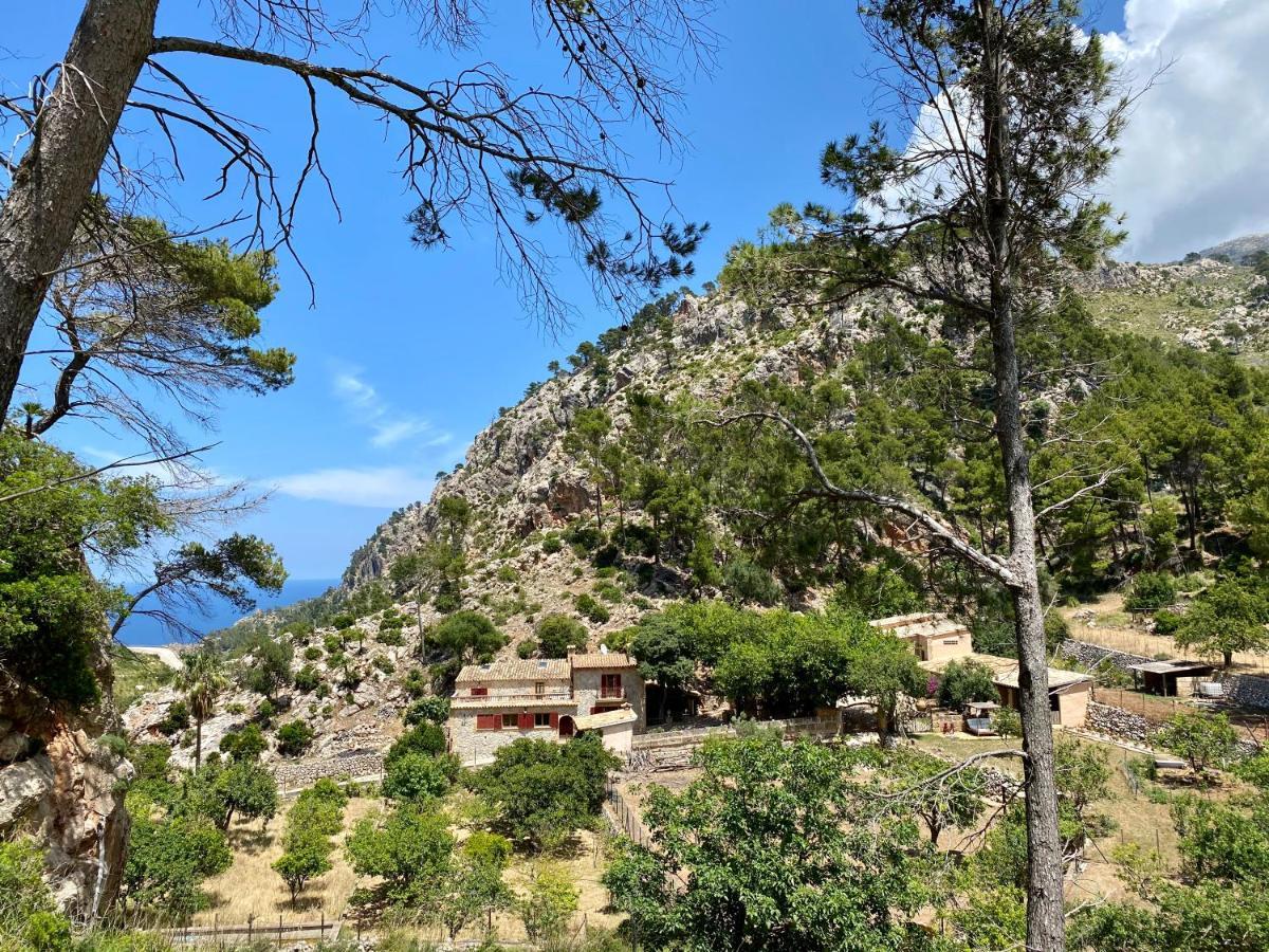 Finca Ses Fontanelles Andraitx Buitenkant foto