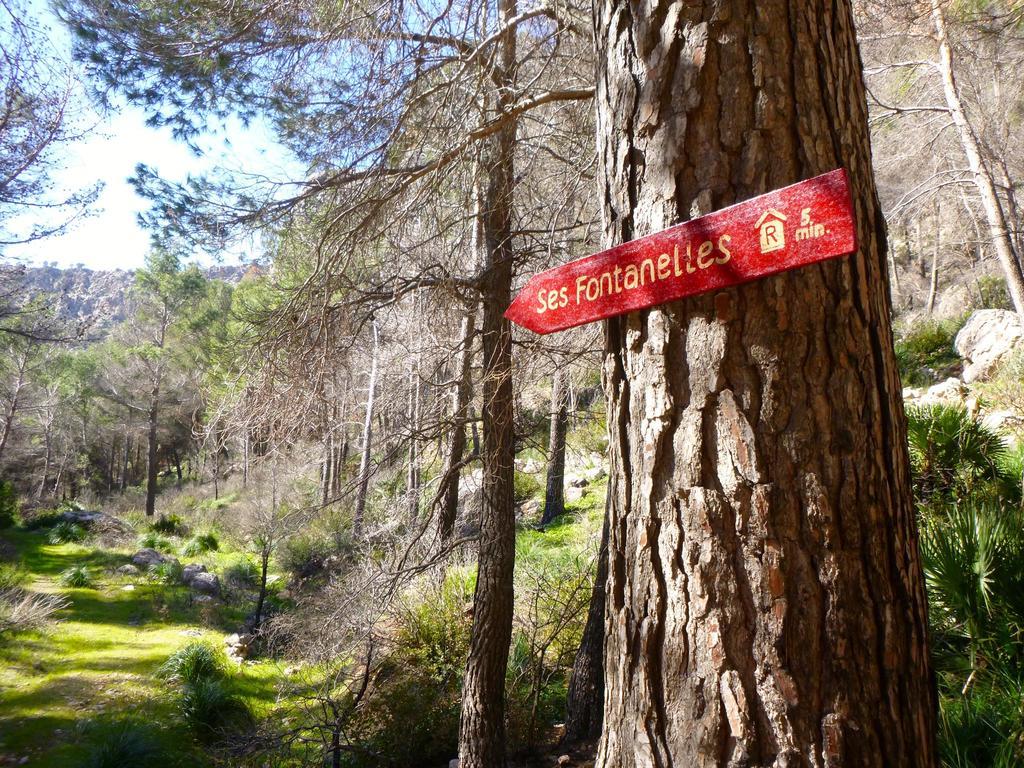 Finca Ses Fontanelles Andraitx Buitenkant foto