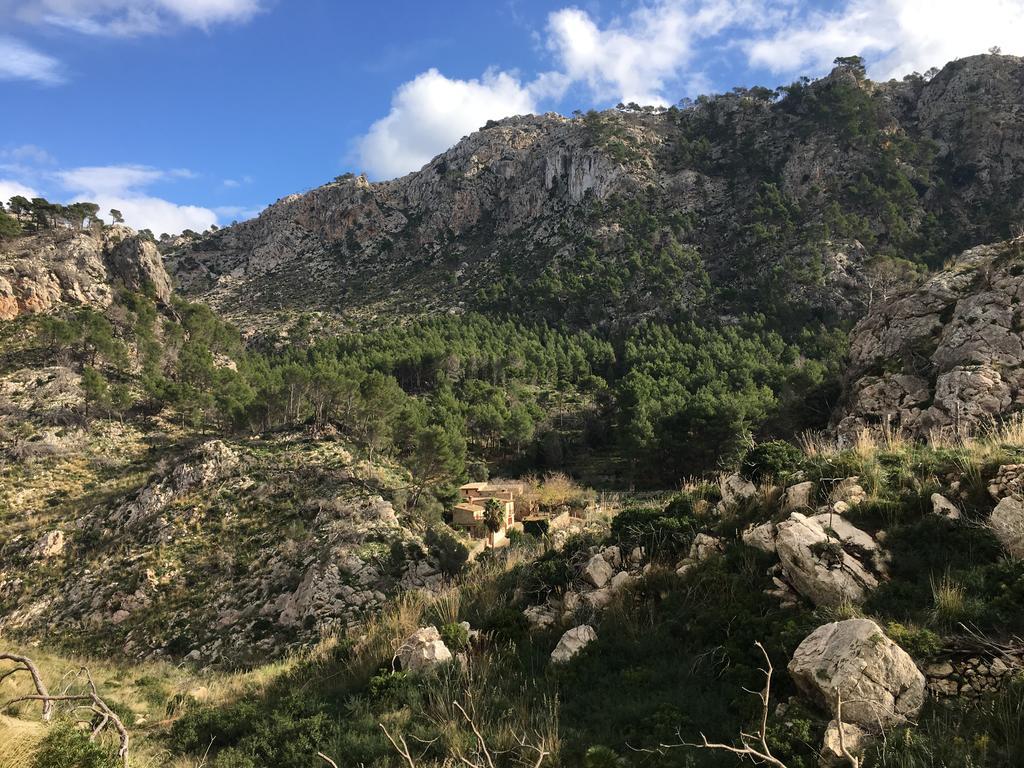 Finca Ses Fontanelles Andraitx Buitenkant foto