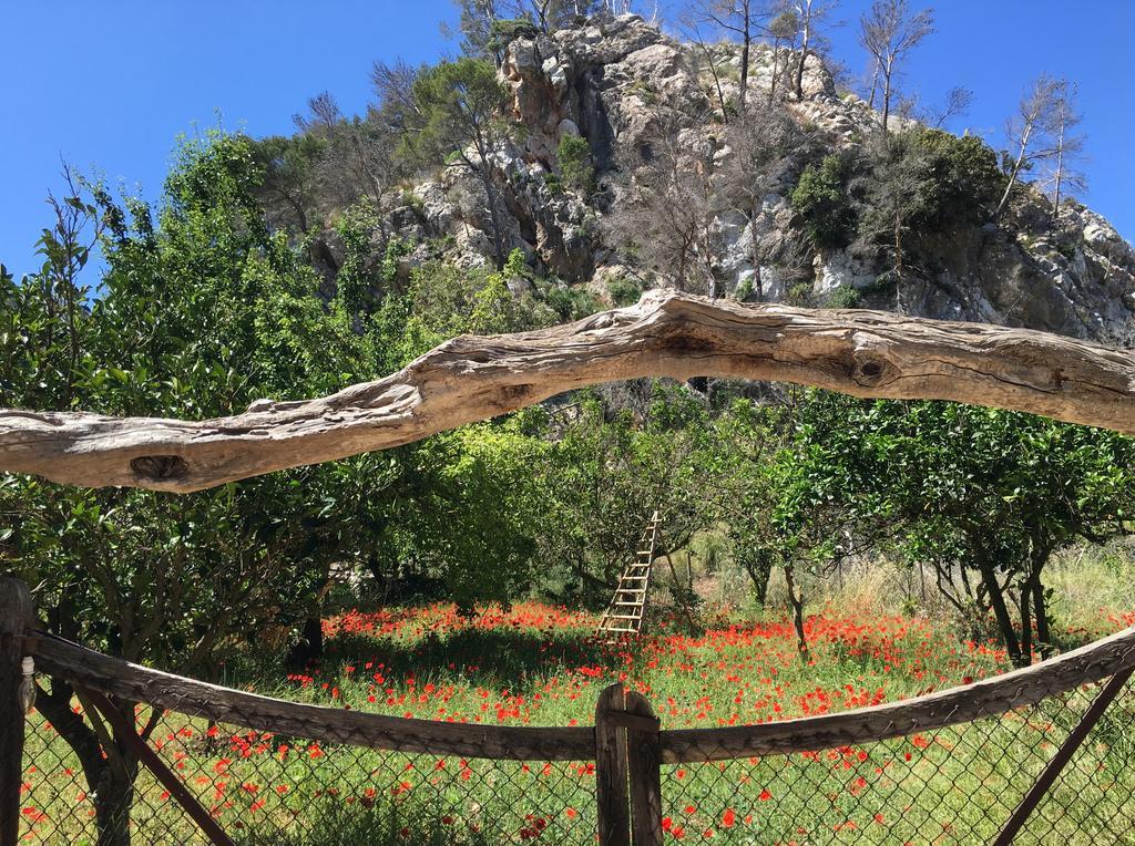 Finca Ses Fontanelles Andraitx Buitenkant foto